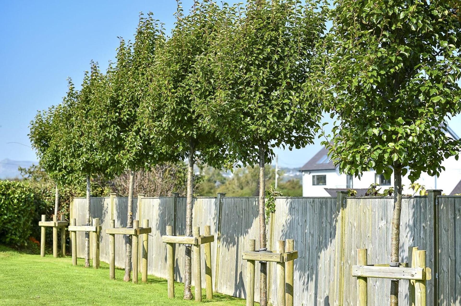 Villa Pen Y Bryn Abersoch Exterior foto